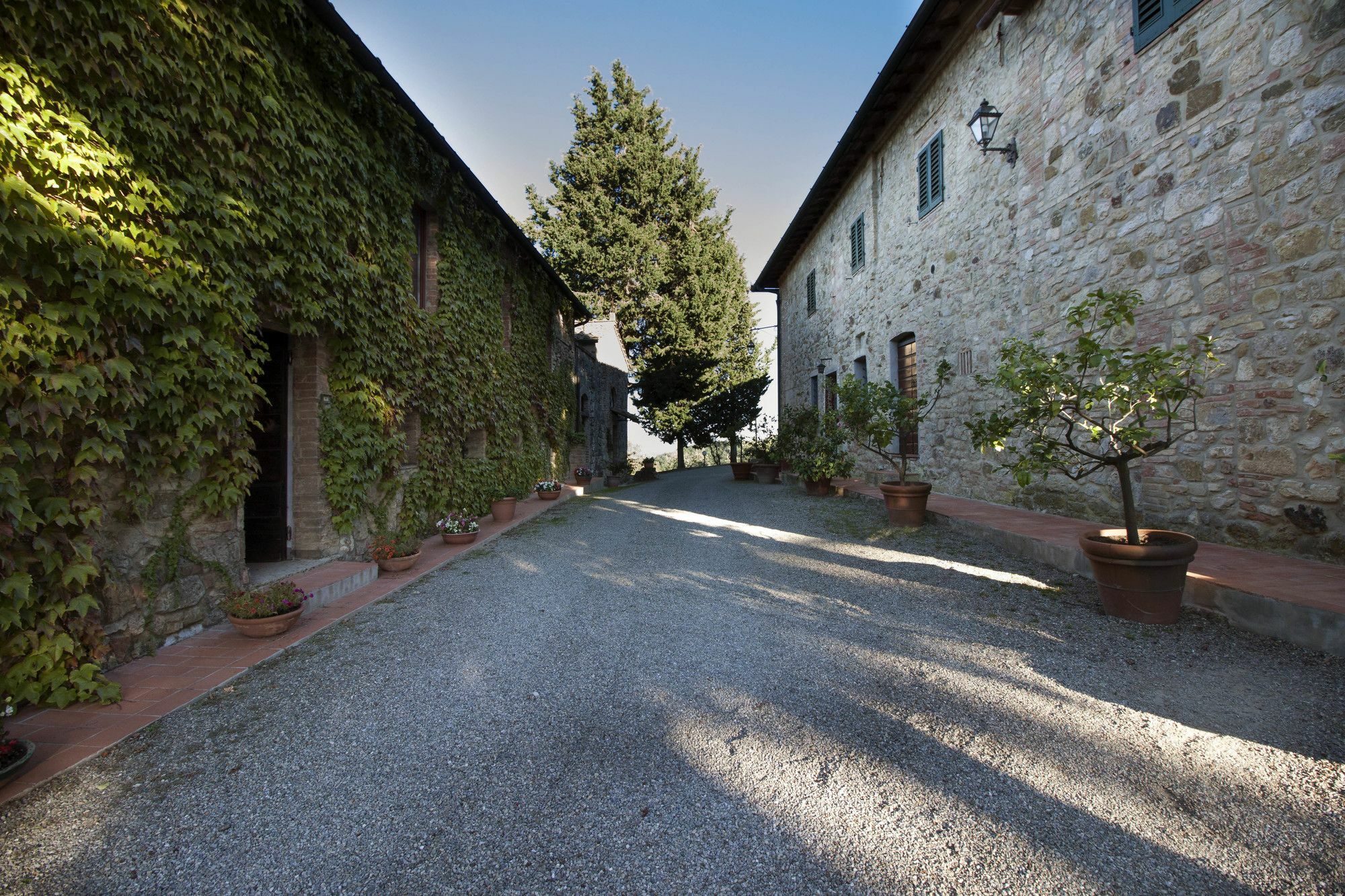 B&B La Torre - Fattoria Di Larniano Сан-Джиміньяно Екстер'єр фото